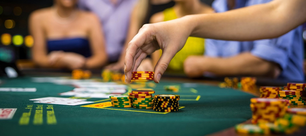 Bourse Casino étude et offres pour adulte un brin