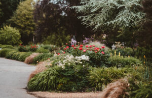 bordure jardin