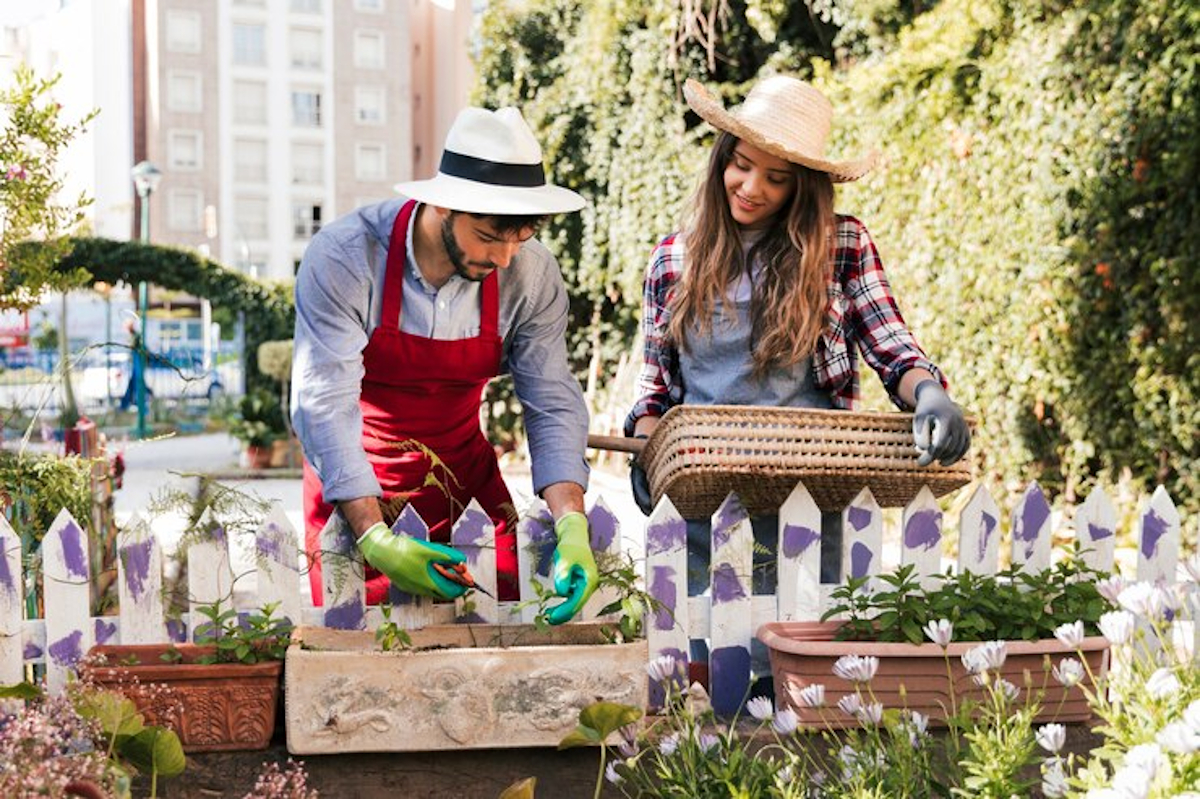 bien utiliser jardinière